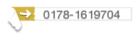 0178-1619704